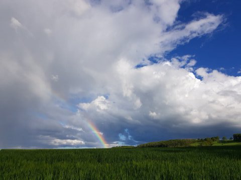 Regenbogen an der Wildberger Allee